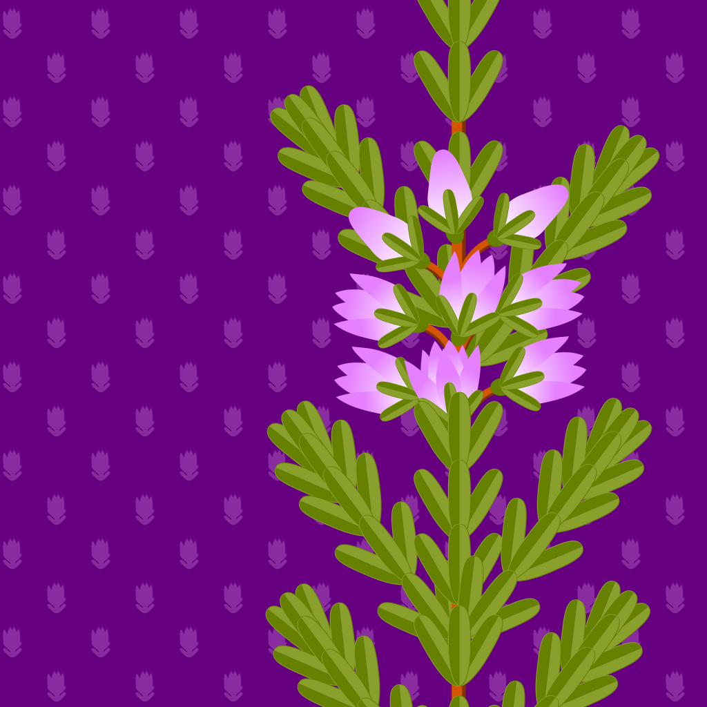 Diversifikationsgrenzen: Das Bild von Jette von Pixabay steht f??r Passioninvestments