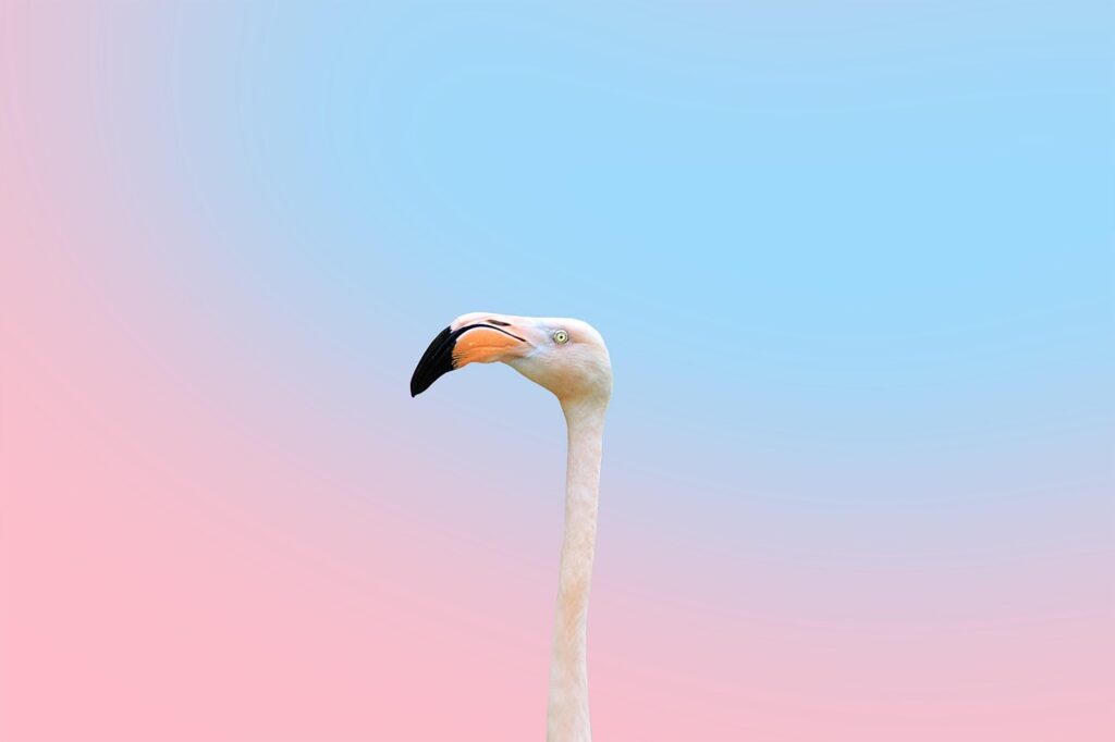 Source: Pixabay