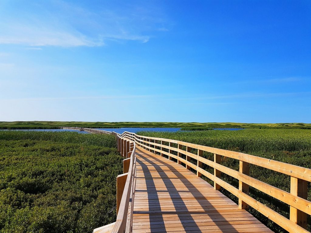 ESG transition illustration is a wood bridge into green nature by Mjudem McGuire from Pixabay
