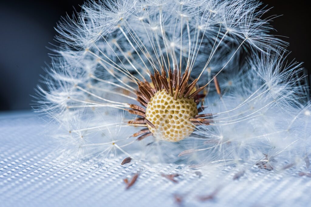Source: Pixabay