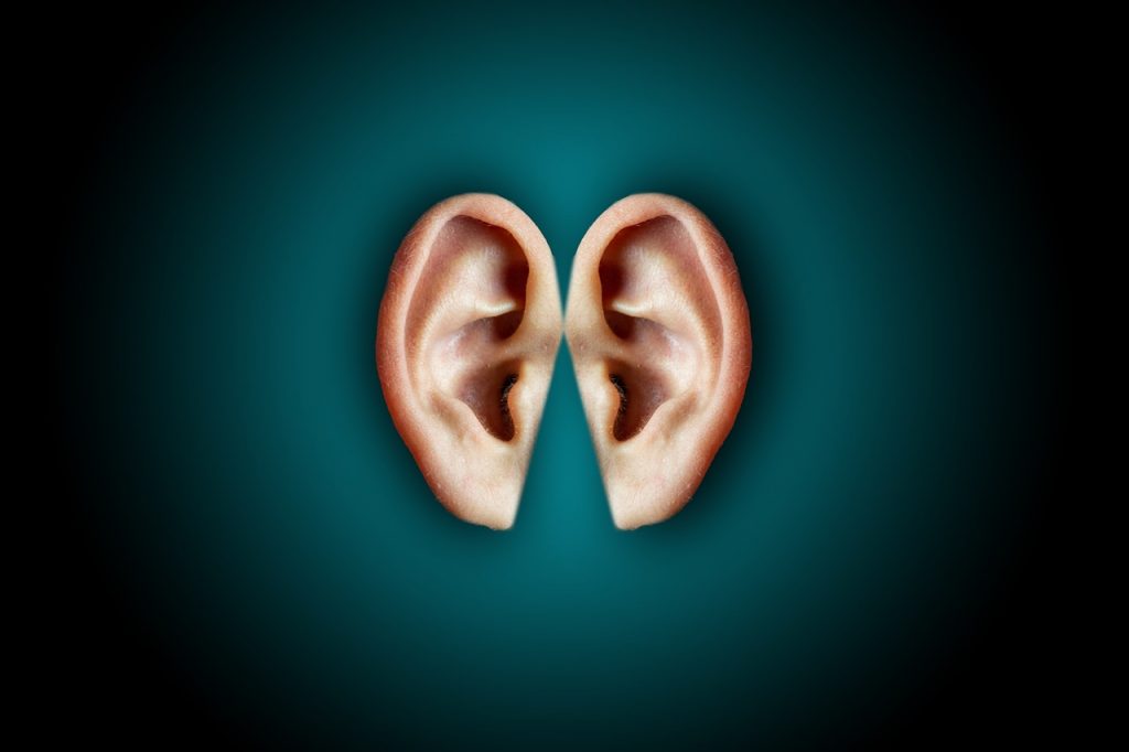 SDG-Investmentbeispiel 6 Picture from Pixabay from Shutter Stock by David Riccardi