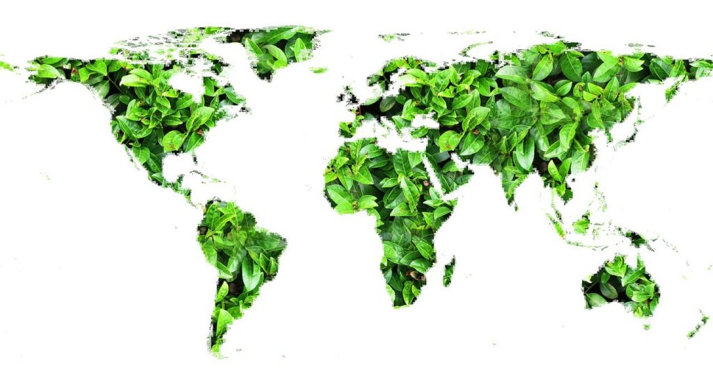 ESG inlfationn illustration with green globe by Geerd Atmann from Pixabay