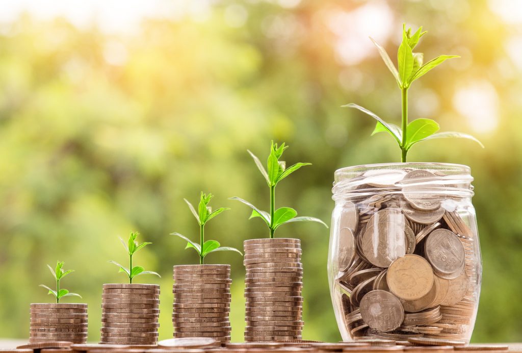 Microfinance risk: Picture of money which leads to plant growth