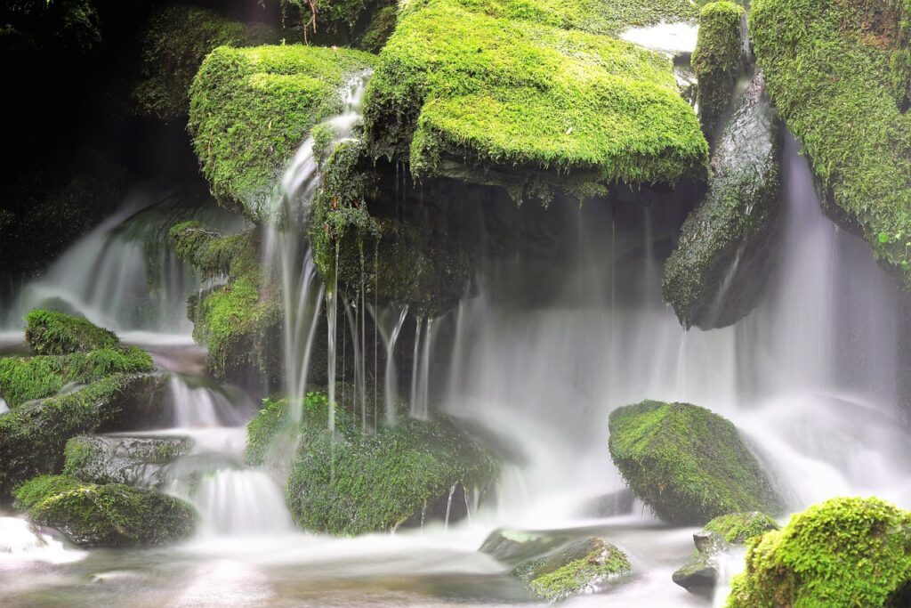 Source: Pixabay