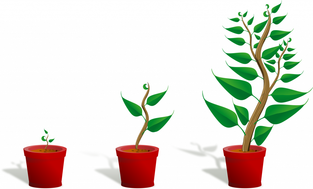 Green grwowth illustration von Pixabay von OpenClipArt Vectors