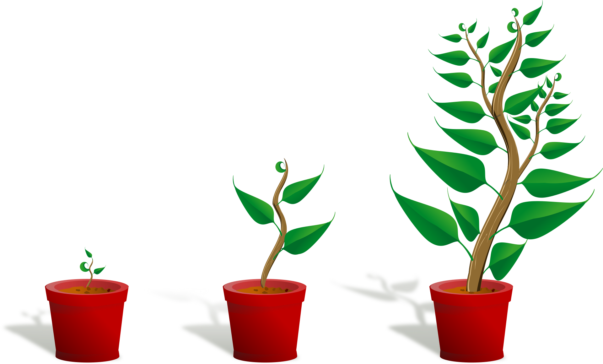 Green grwowth illustration von Pixabay von OpenClipArt Vectors