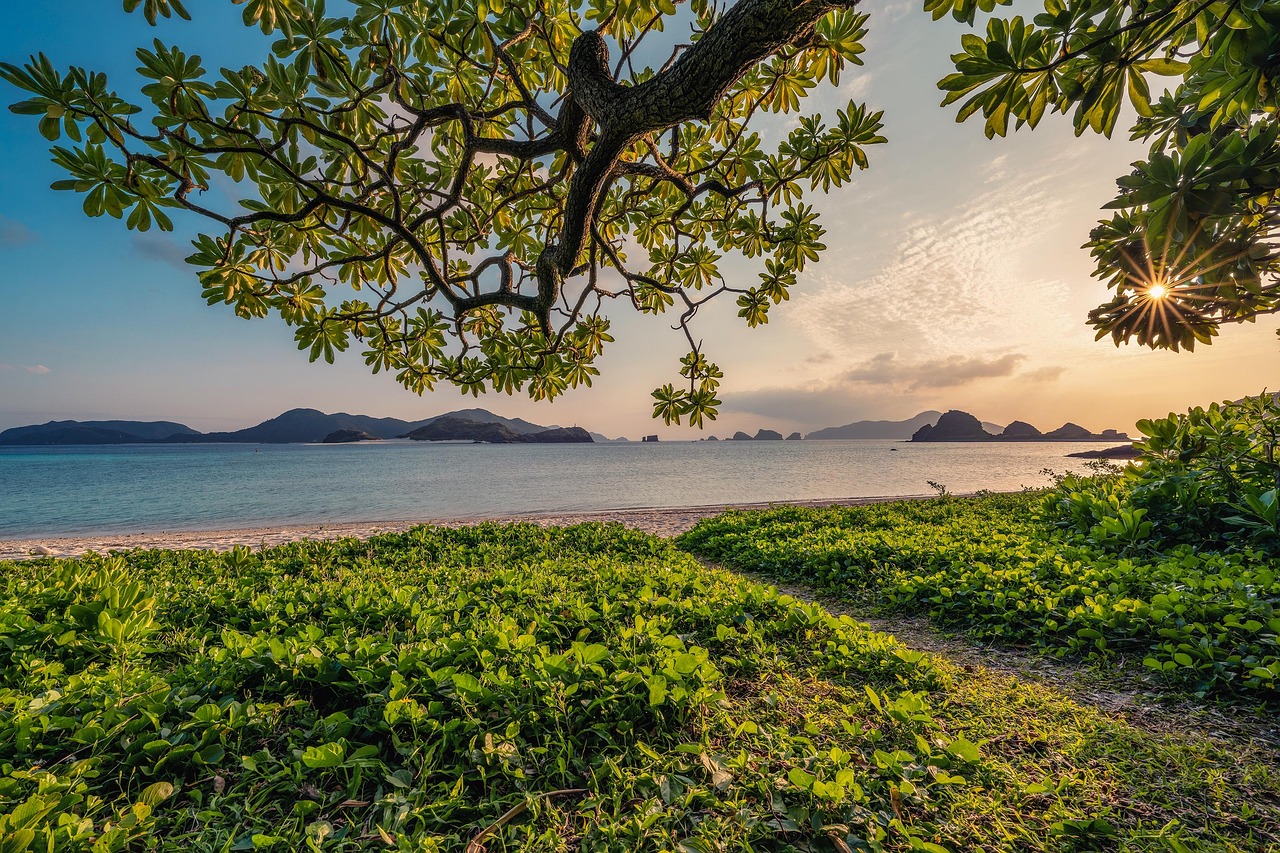 Source: Pixabay