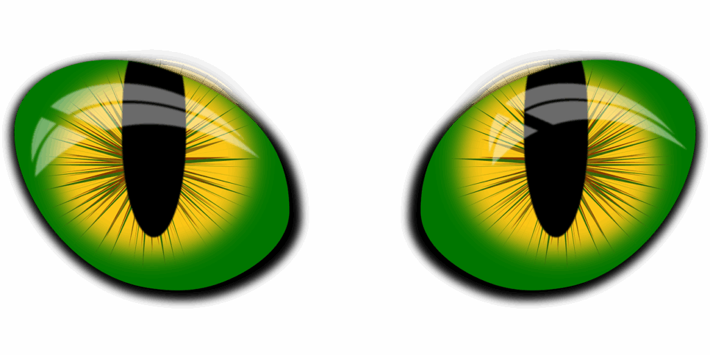 SDG-Investmentbeispiel 13 Illustration Vector Eyes von Pixabay