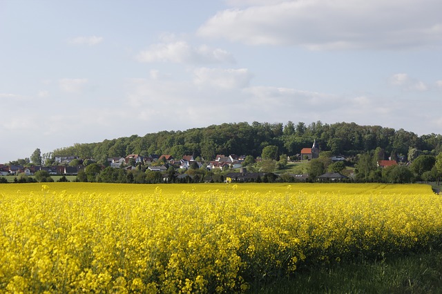 Unternehmensverantwortung