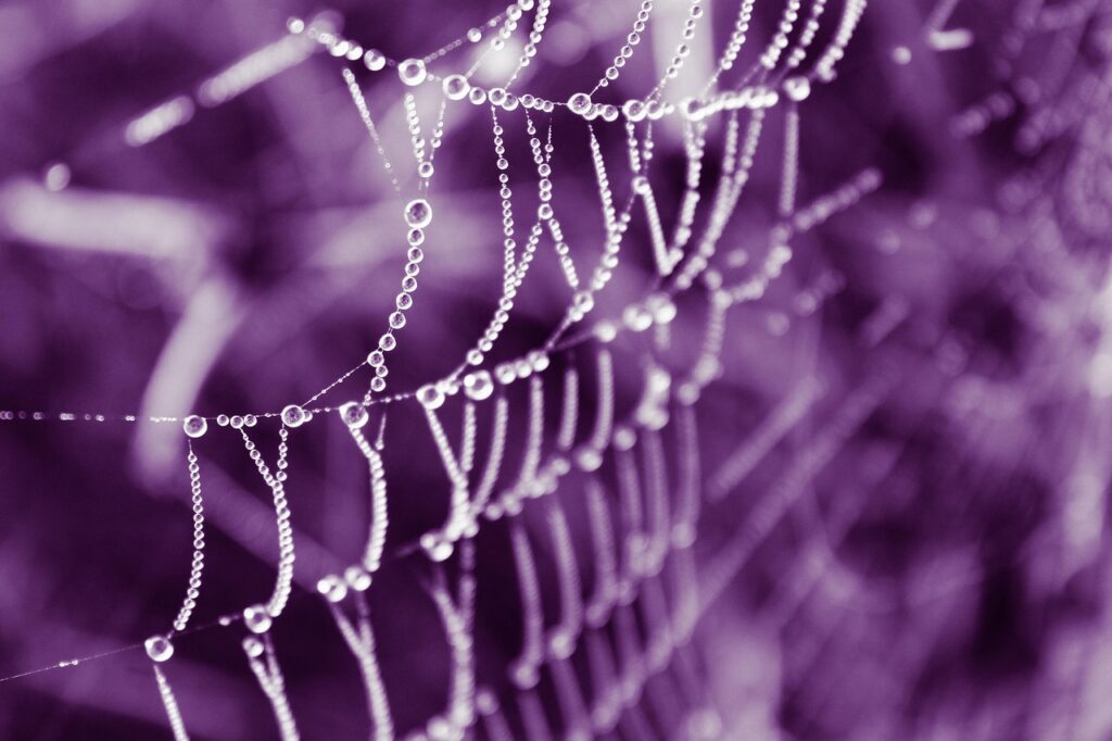 Source: Pixabay